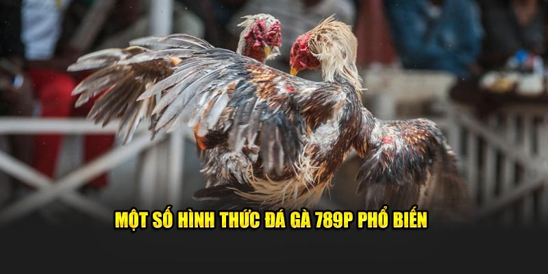 Một số hình thức đá gà 789P phổ biến